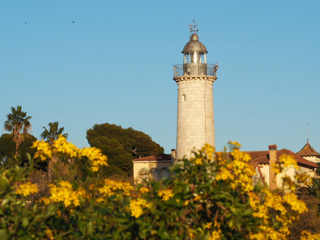 VISITAPRIMERDIUMENGE